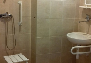 zdjęcie łazienki, na którym widać prysznic i przystosowane poręcze
